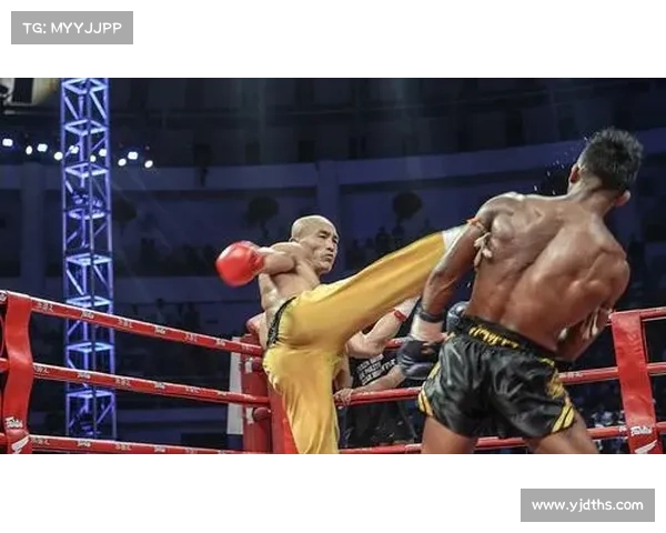 一龙武林风经典比赛