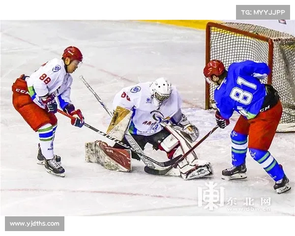 冰球比分第一比分网